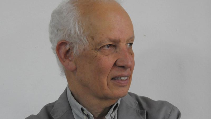 Director Museo Nacional de Bellas Artes, Fernando Pérez.