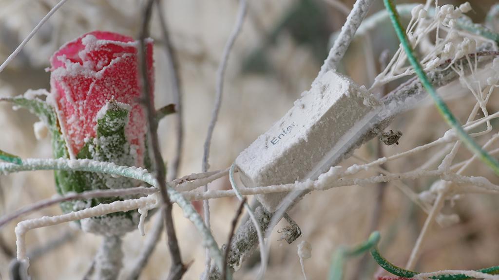 Detalle de instalación Marie Antoinette, 2009