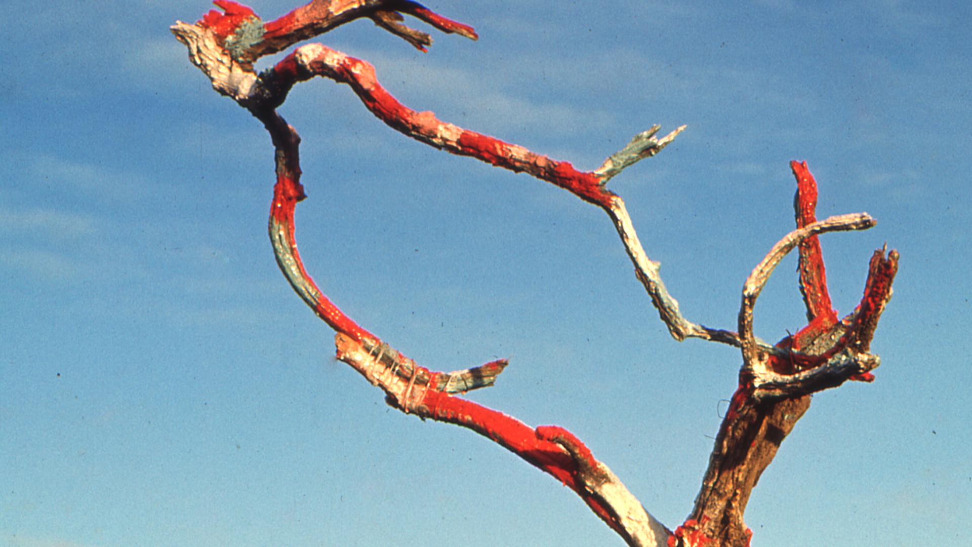 Fotografía del libro Amereida