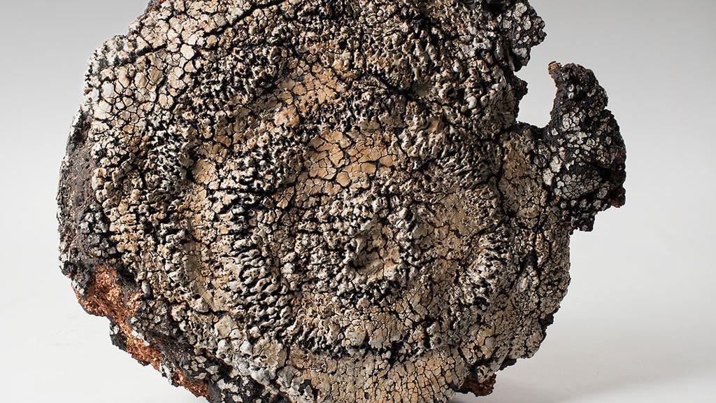 Detalle de obra en exposición.