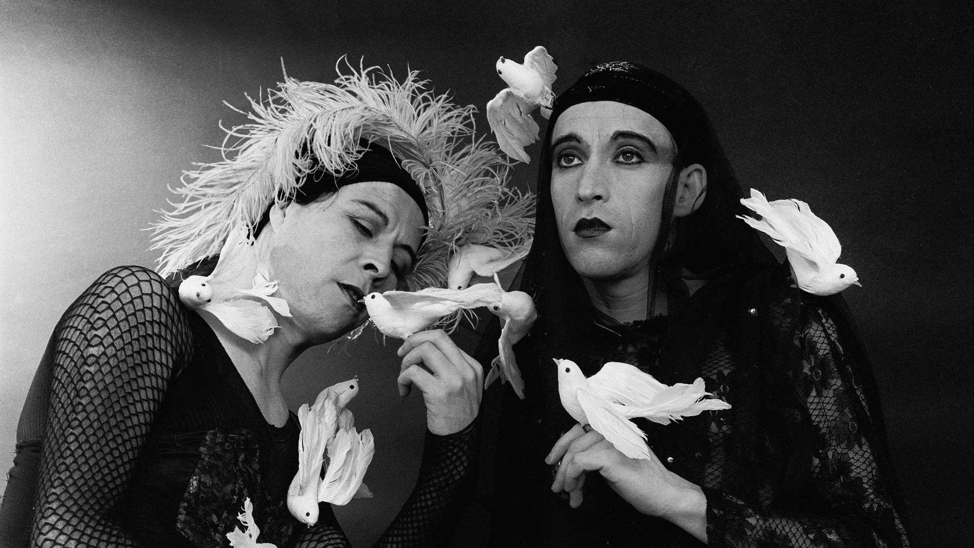 imagen yeguas del apocalipsis