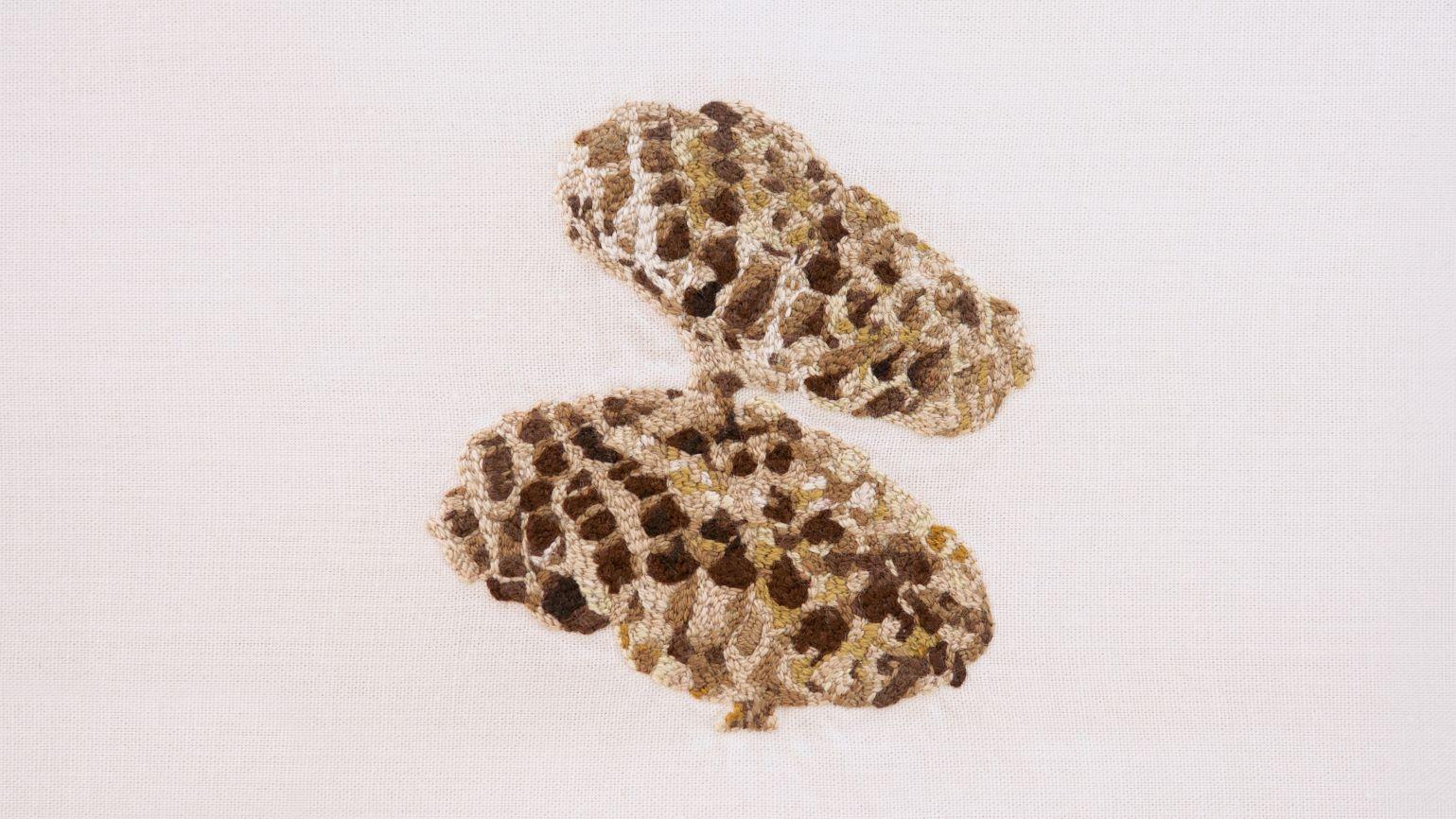 Bordado que representa un nido de avispa.