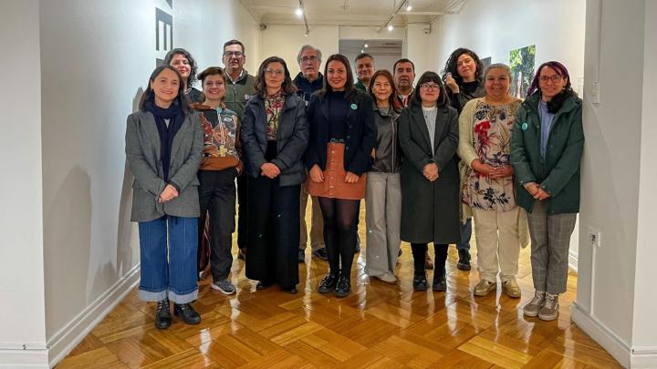 Grupo de profesionales del Museo de Bellas Artes y la Universidad de Concepción