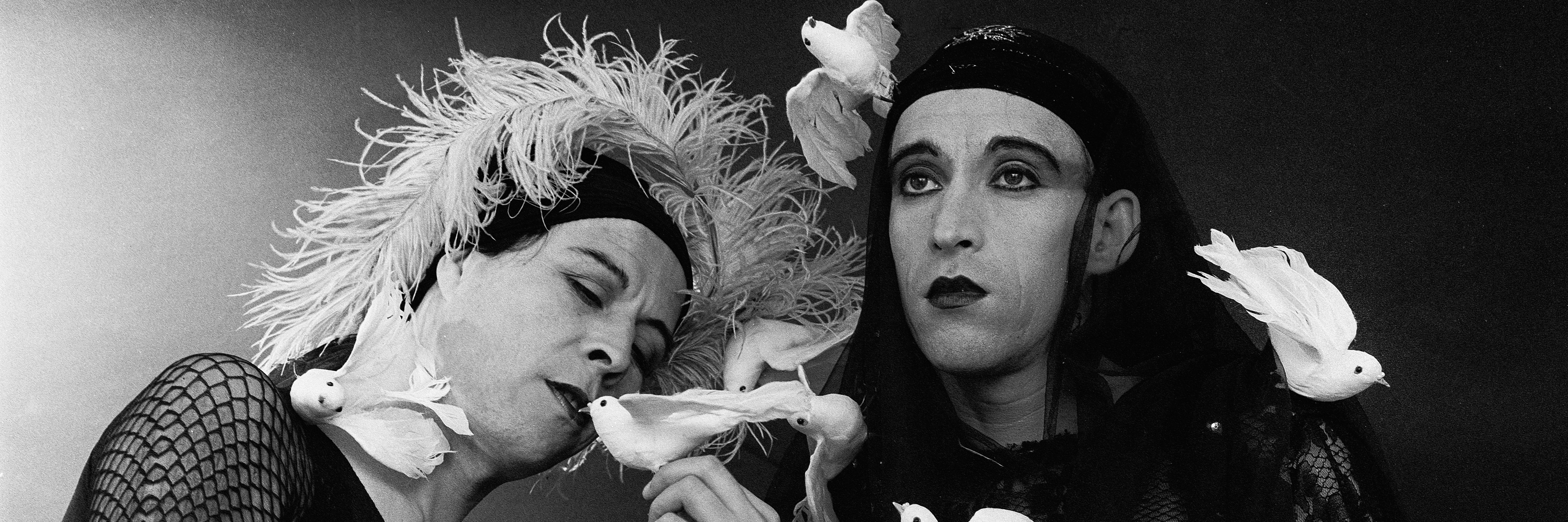 imagen yeguas del apocalipsis