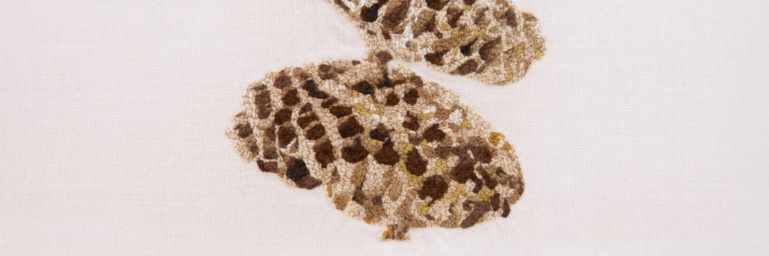 Bordado que representa un nido de avispa.