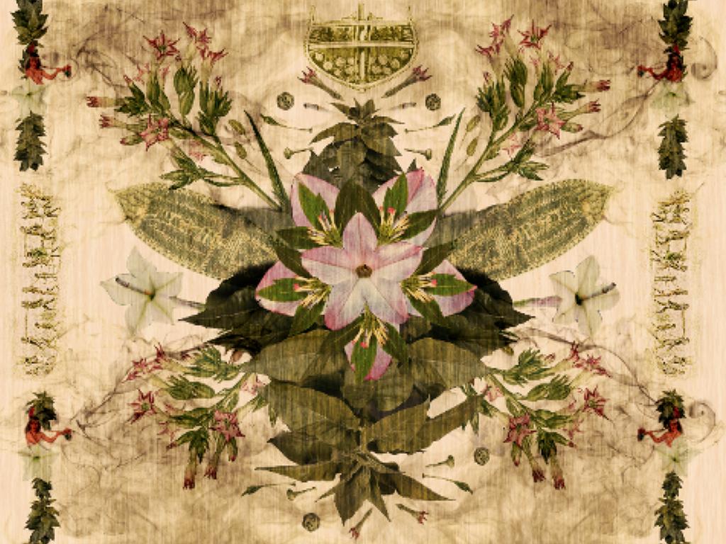 Detalle de obra Beatrice Glow