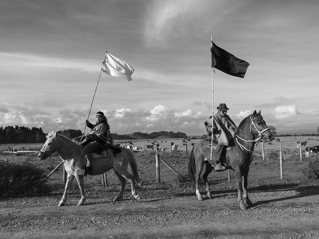 Detalle fotografía de Luis Sergio