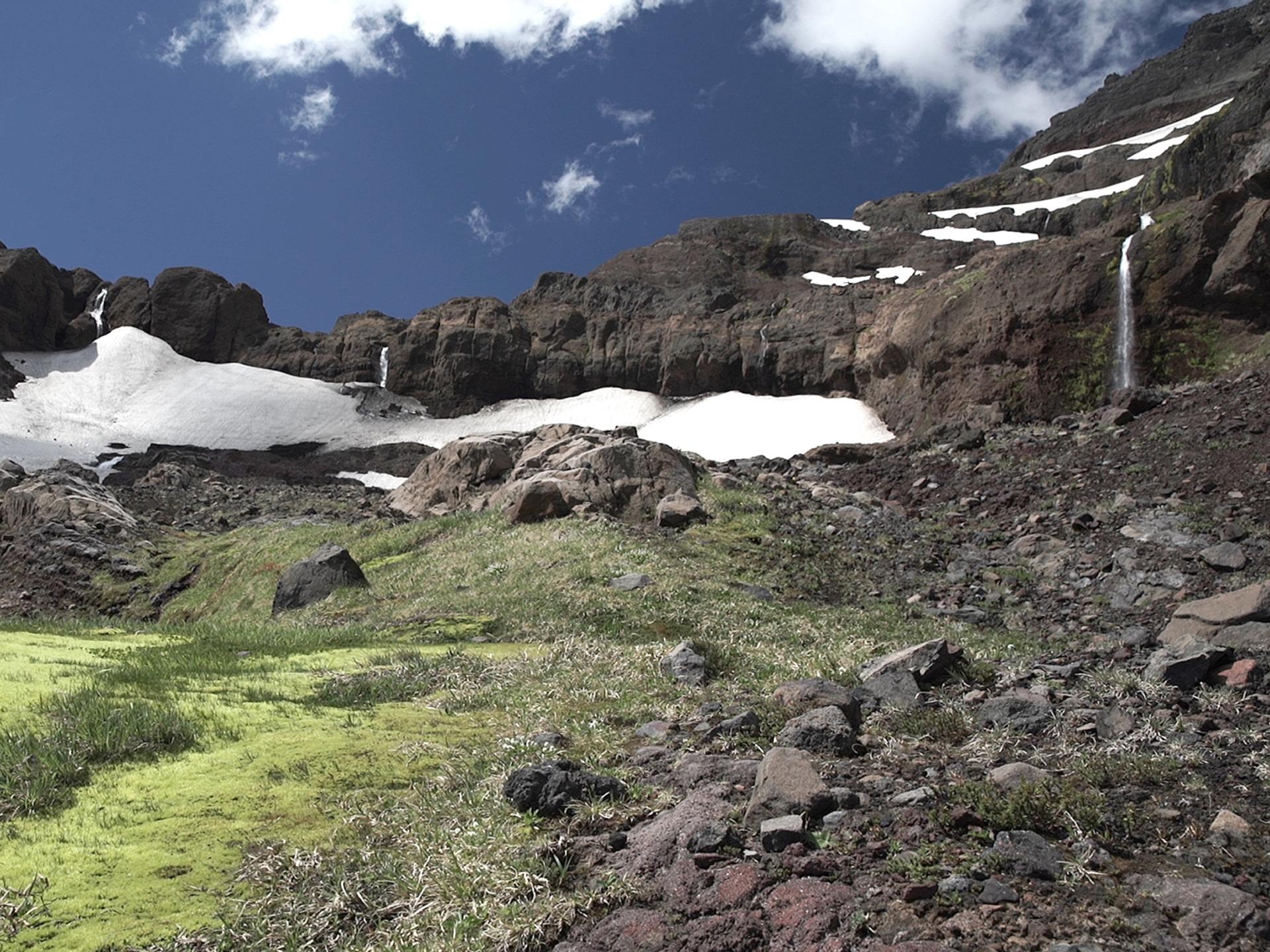 Imagen de la sierra nevada
