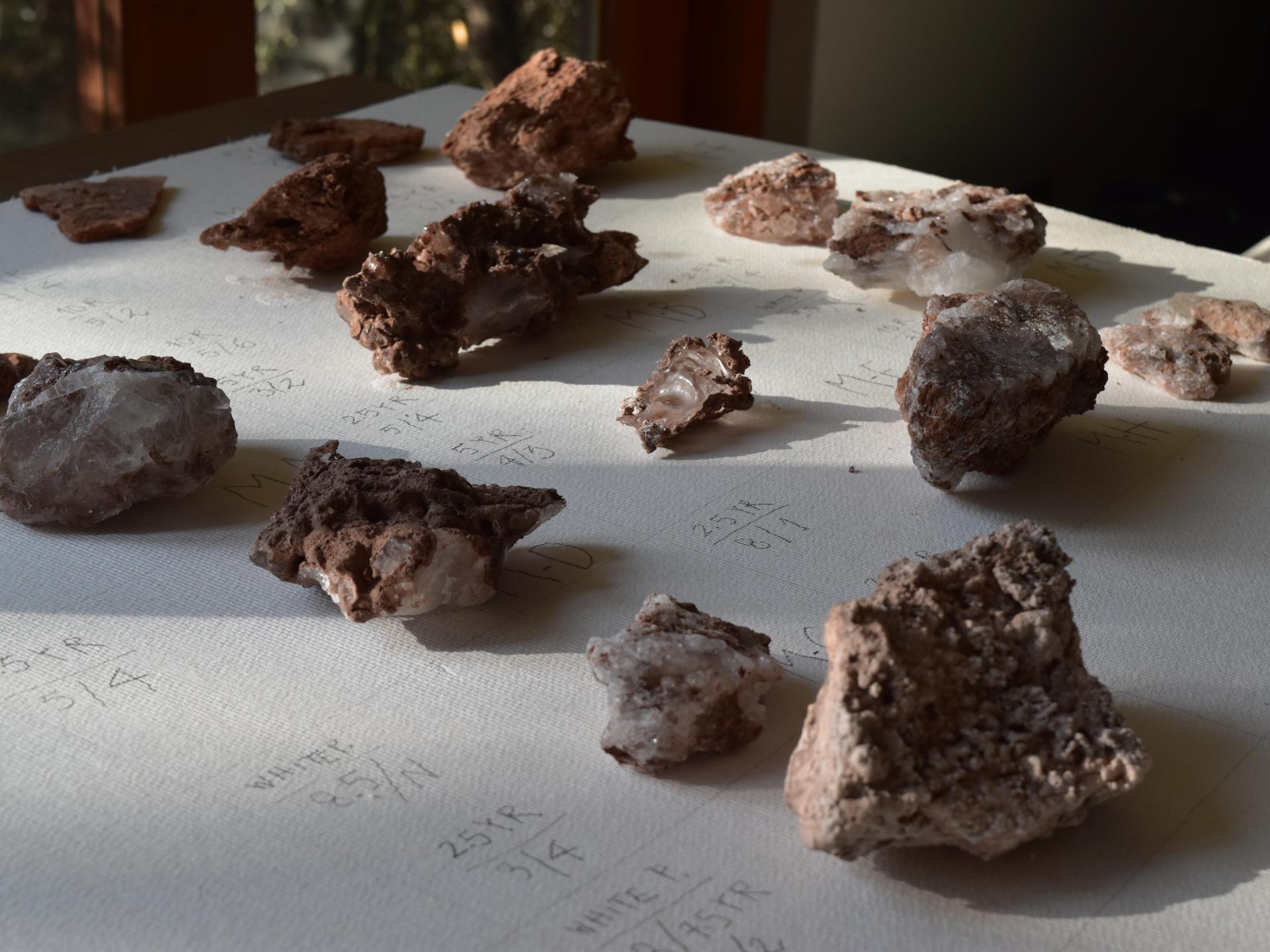 Muestras de roca del altiplano atacameño