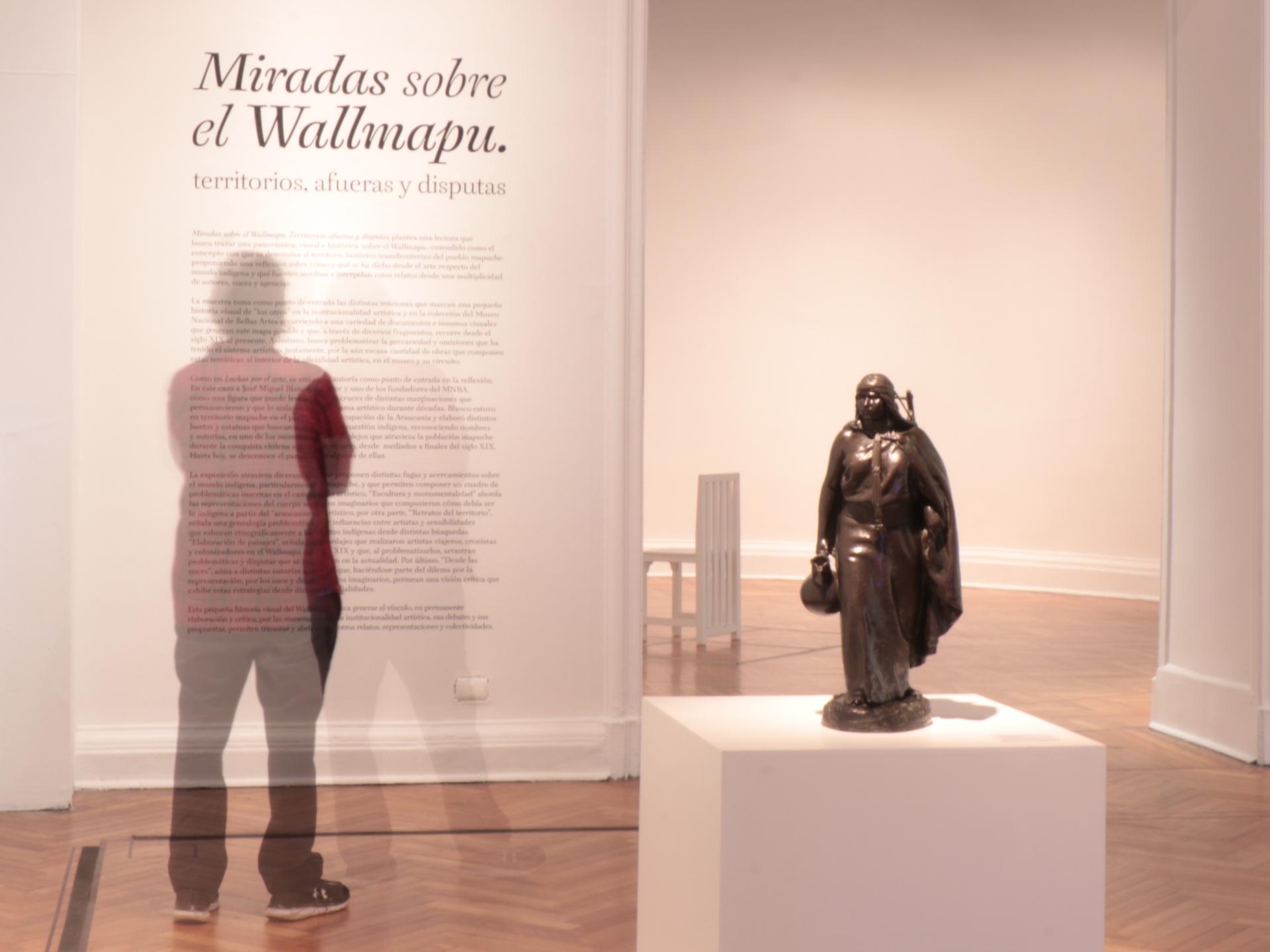 Exposición Miradas sobre el Wallmapu. Territorios, afueras y disputas