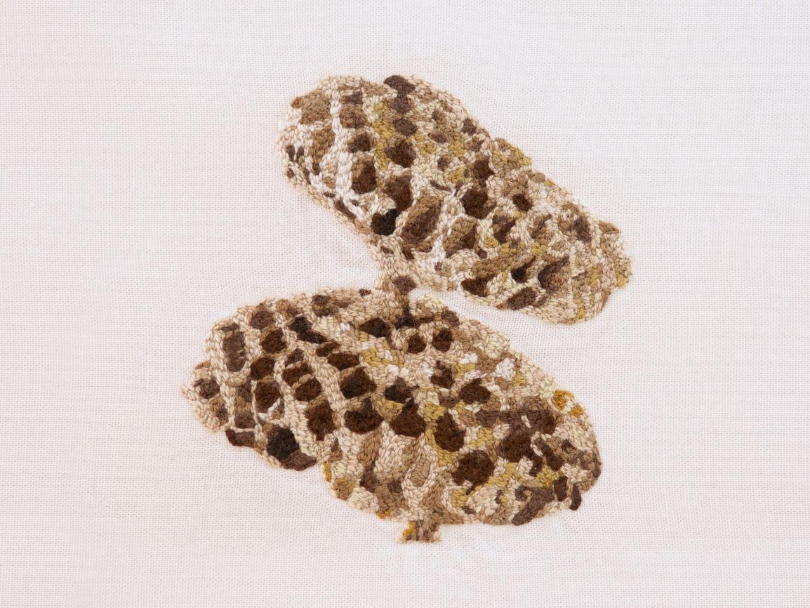 Bordado que representa un nido de avispa