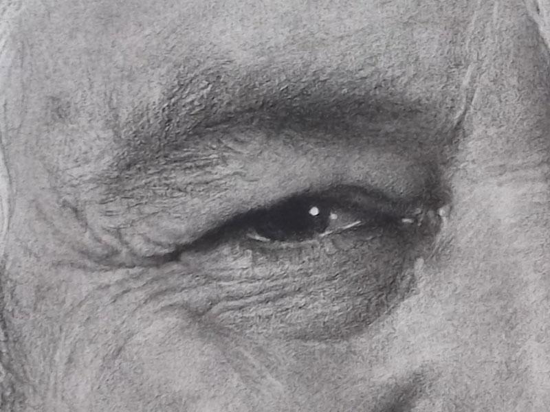 Detalle, dibujo de Paula Lynch