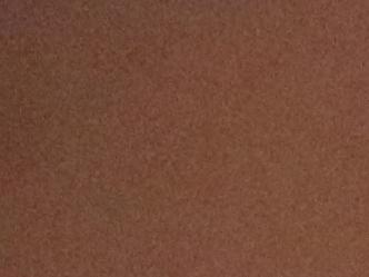 Director Fernando Pérez