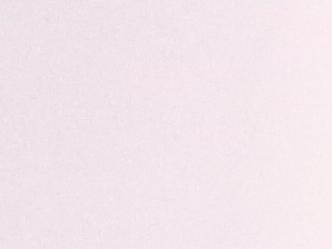 Asistentes en el Salón Blanco