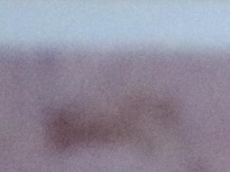 Gloria Cortés, Ana Paula Cavalcanti y Dina Comisarenco