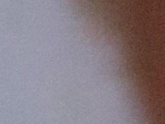 Curadora Gloria Cortés