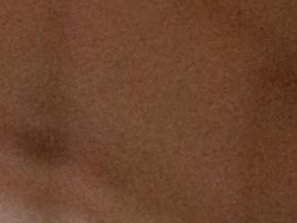 Entrega de libros a los asistentes