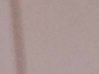 Asistentes al lanzamiento