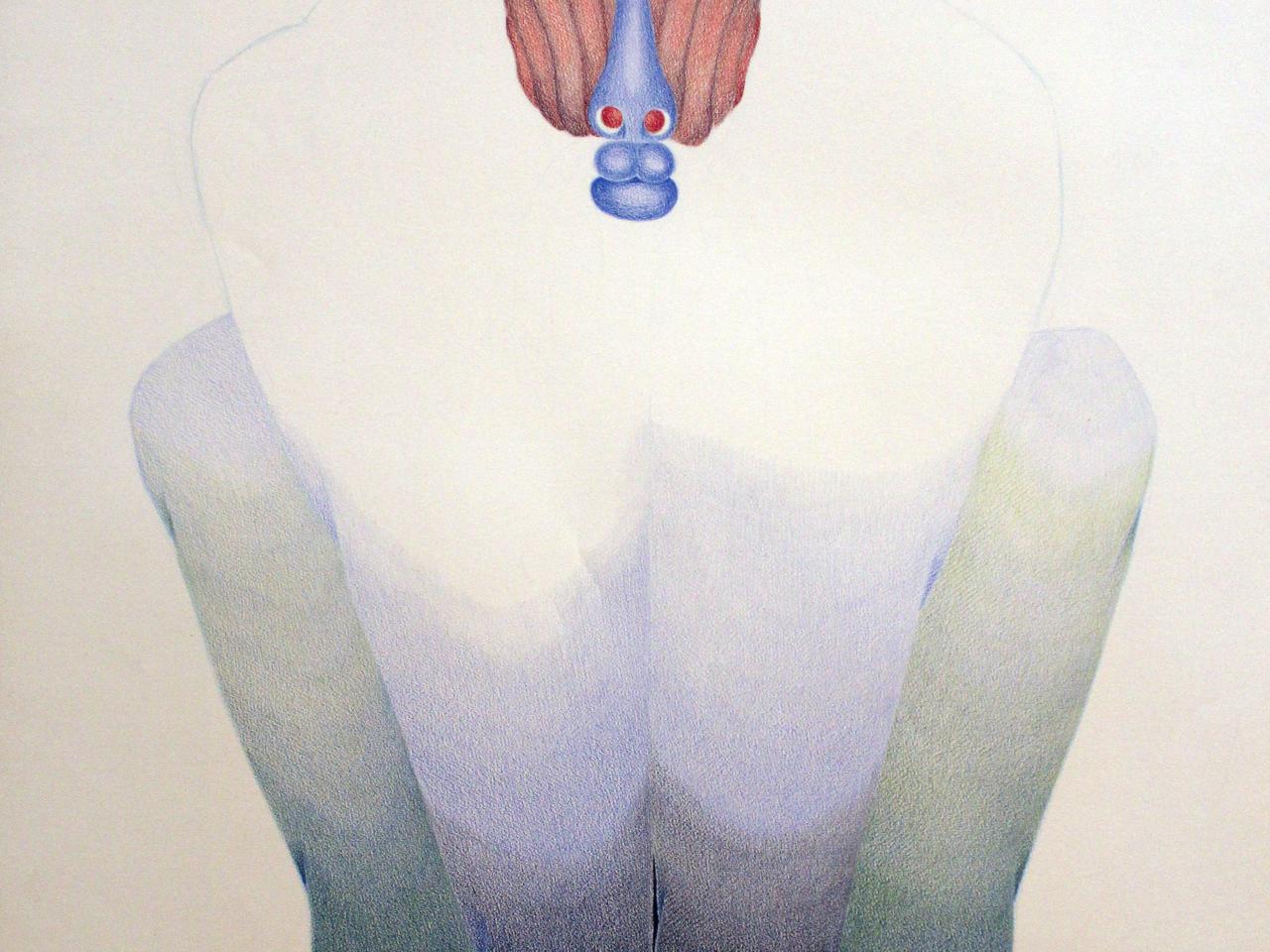 Lápiz color sobre papel