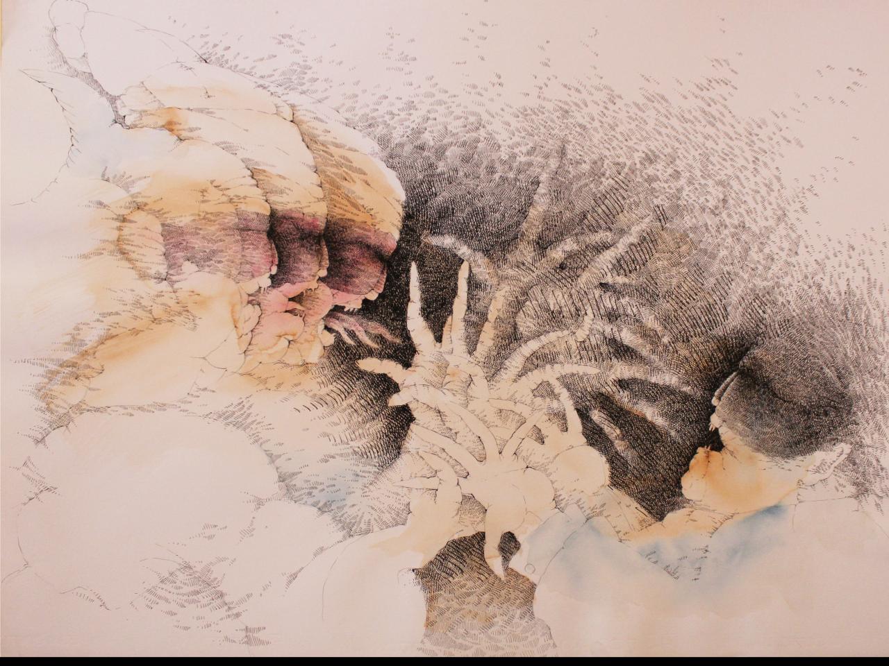 Mixta sobre papel (tinta china, acuarela)