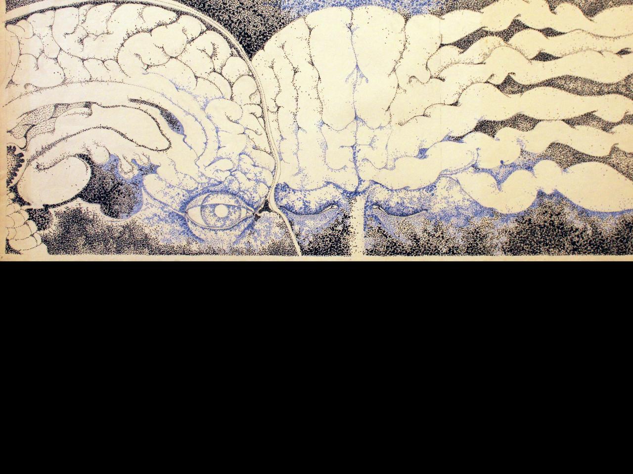 Lápiz color sobre papel