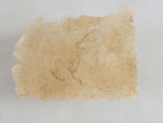 Fotografía de un trozo de papel amarillado