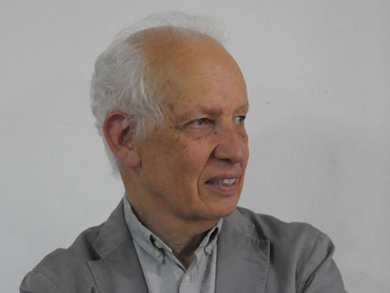 Director Museo Nacional de Bellas Artes, Fernando Pérez.