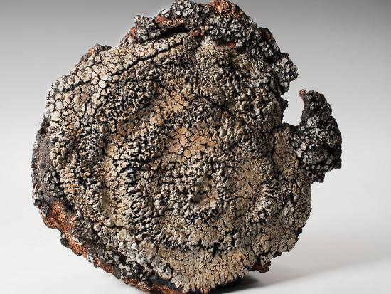 Detalle de obra en exposición.