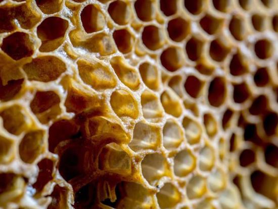 Detalle de obra de Paz Lira