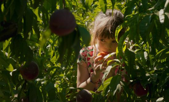 Imagen de una niña entre hojas verdes, oliendo un durazno