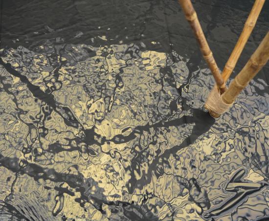 Fotografía de un flujo de agua del que emergen cañas de bambú
