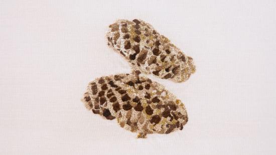 Bordado que representa un nido de avispa.