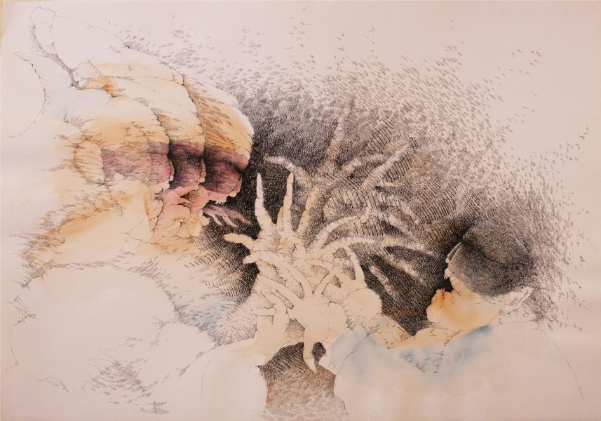 Mixta sobre papel (tinta china, acuarela)