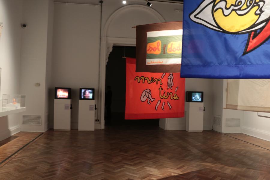 Piezas de Cecilia Vicuña