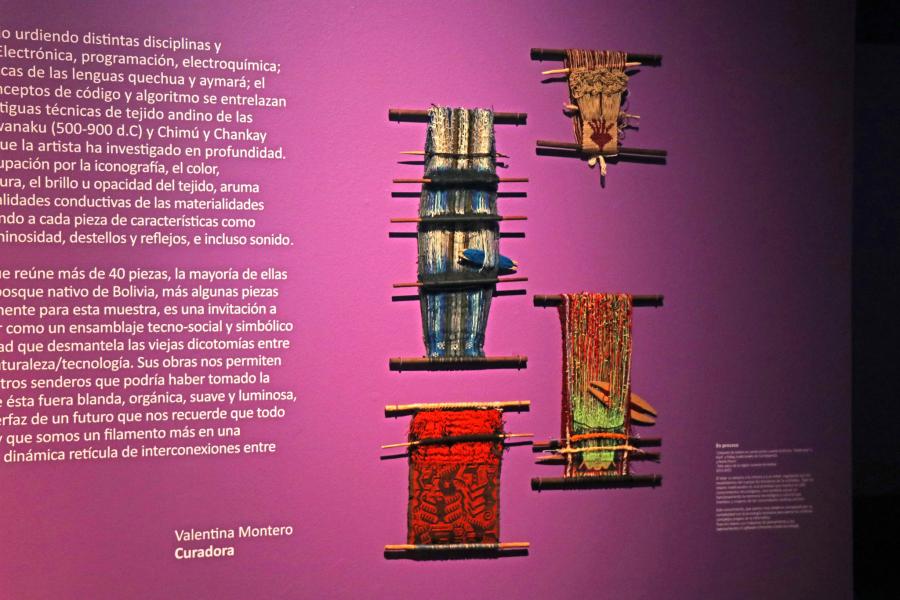 Textos en la pared sobre la exposición