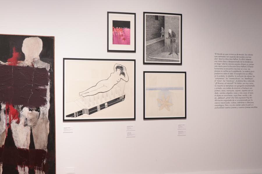 Diferentes cuadros, destaca un cuadro con un dibujo de una mujer desnuda